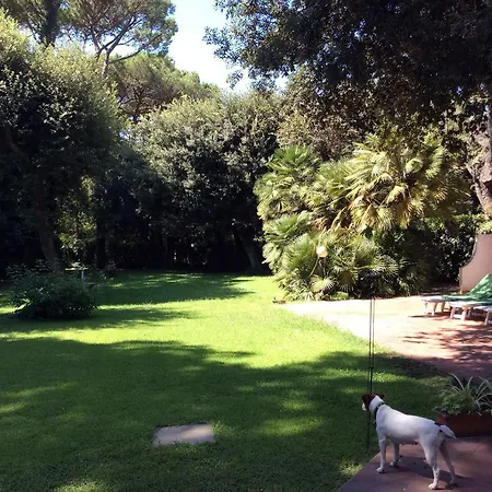 La Giuggiola Fregenae