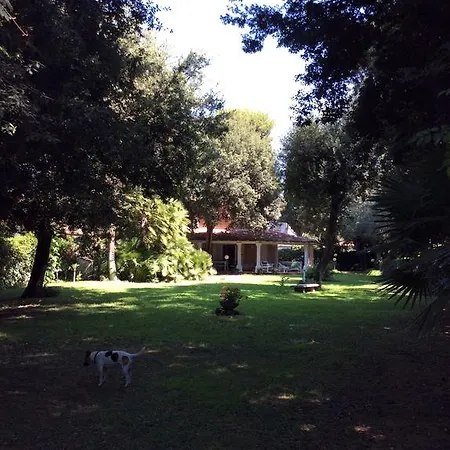 La Giuggiola Fregenae