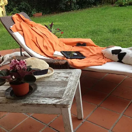 La Giuggiola Fregenae